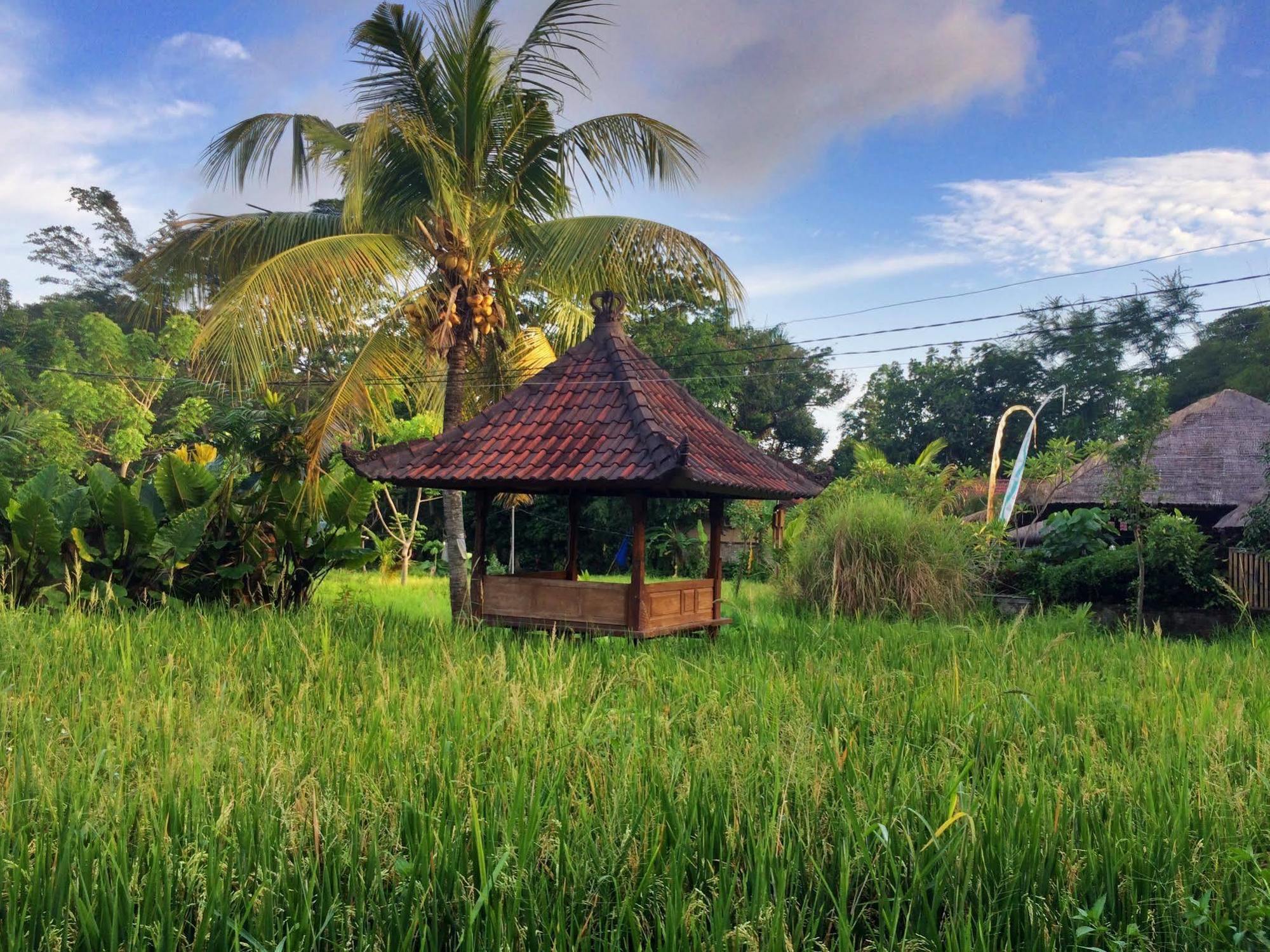 Villa Pecatu Ubud Kültér fotó